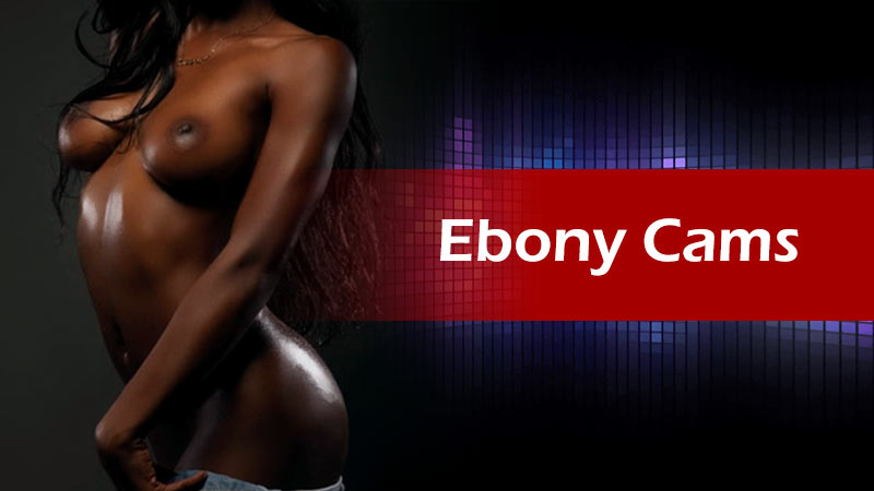 Ebony cams